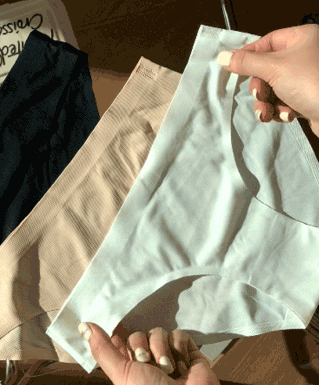 Bikini Inner Underwear [Norline / Seamless]